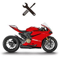 Panigale R Workshop Manual