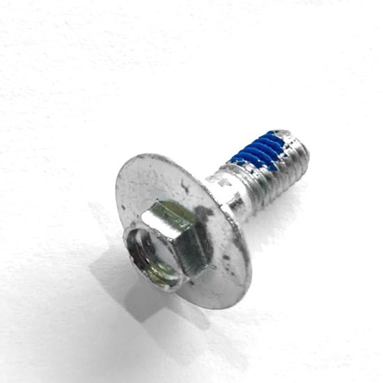 Side Stand Switch Bolt