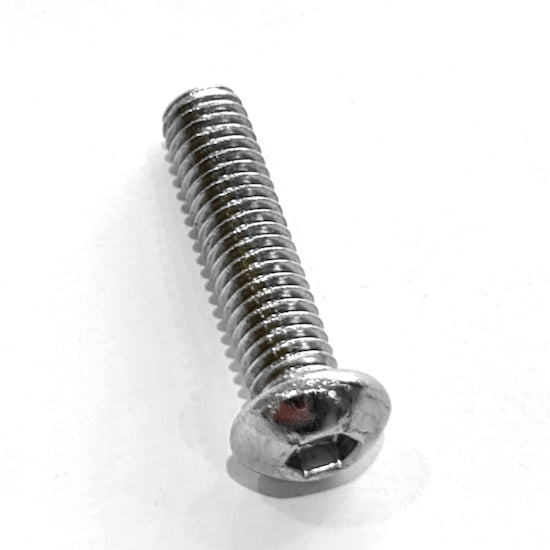 M6/25 SBH Bolt